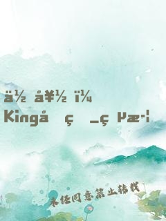 你好，King先生